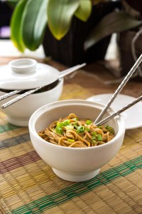 Spicy Peanut Noodles Happy Herbivore Holidays and Gatherings